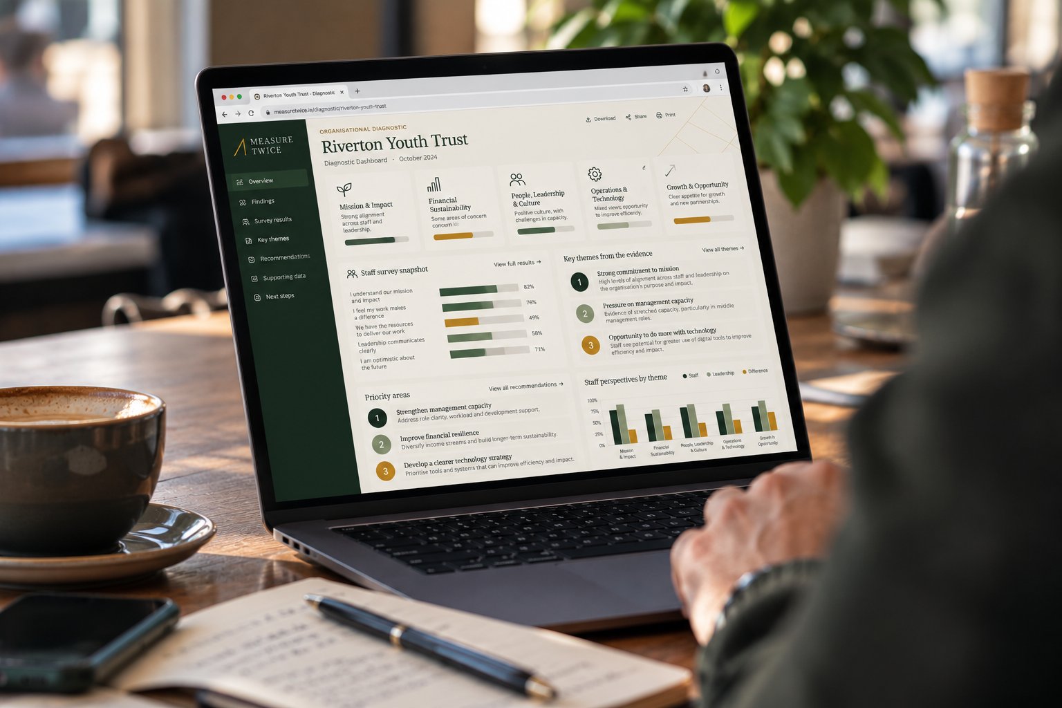 Measure Twice Organisational Diagnostic dashboard